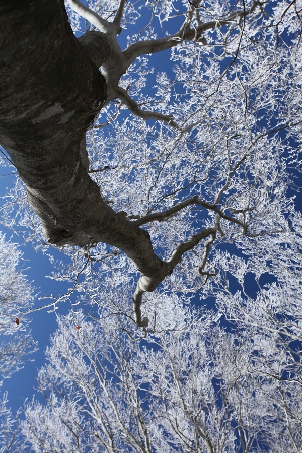 e0304170_21084458.jpg