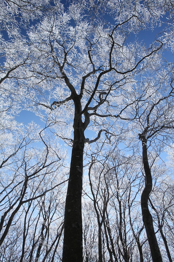 e0304170_21090176.jpg