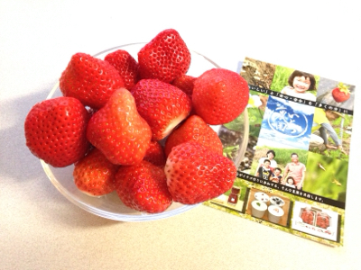 フーフーと愛おしい日々***_e0290872_22475446.jpg