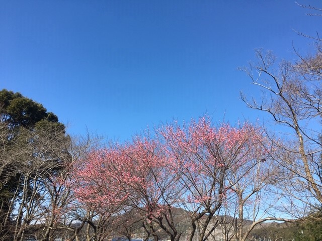 c0344679_19541673.jpg