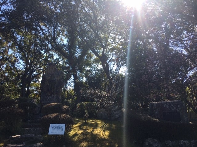 c0344679_20033219.jpg