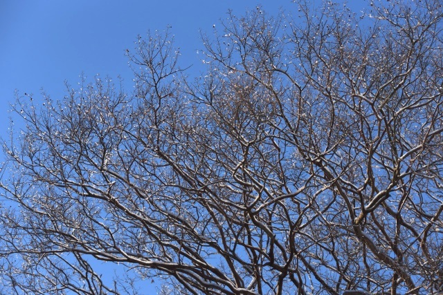 b0163381_03232140.jpg