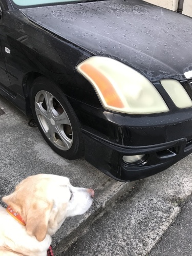 f0315081_23083578.jpeg
