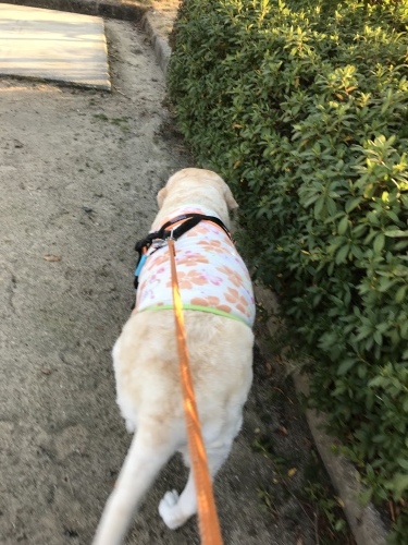 f0315081_23091823.jpeg