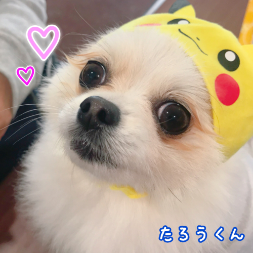 ご利用の皆様へ_f0357682_16003647.jpg