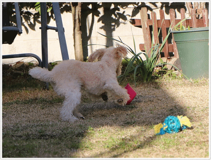 b0175688_20151124.gif