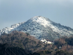 b0192588_8161496.jpg