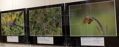 b0192588_8173137.jpg
