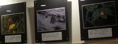 b0192588_818264.jpg