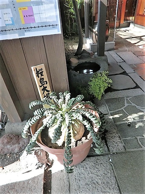d0181492_23564029.jpg