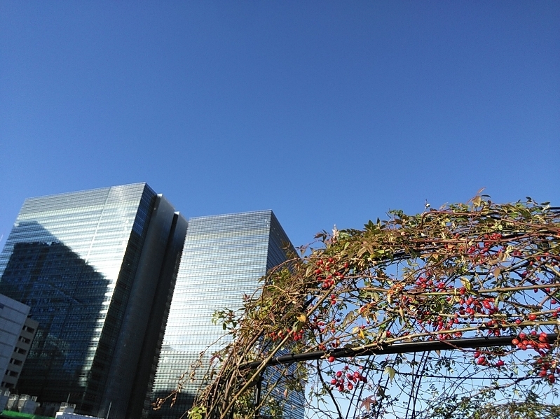 真冬でも庭めぐり♪_b0331802_02000314.jpg