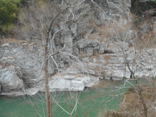 d0009105_11174327.jpg