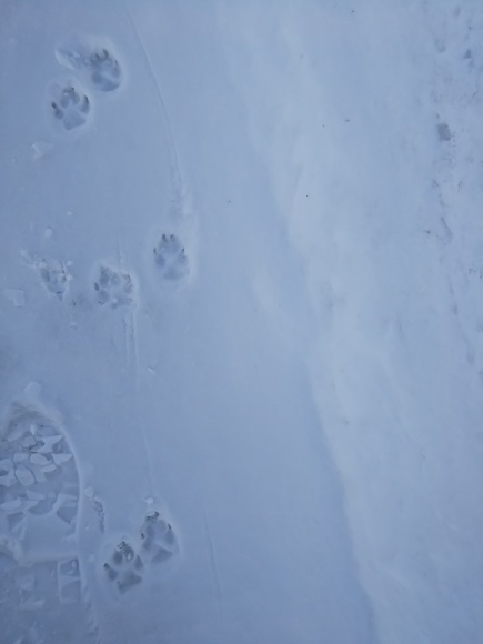 f0316507_17392743.jpg