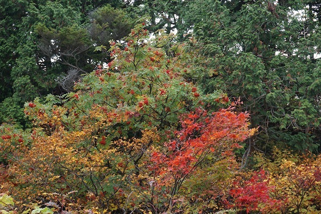 僧ヶ岳登山記録（2018,10,15）_e0382915_17255144.jpg