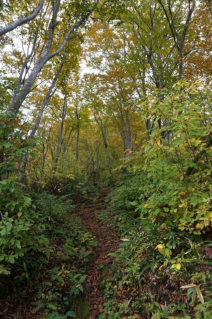 僧ヶ岳登山記録（2018,10,15）_e0382915_17260417.jpg