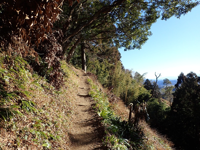 粟ヶ岳・千葉山_e0284726_7341666.jpg