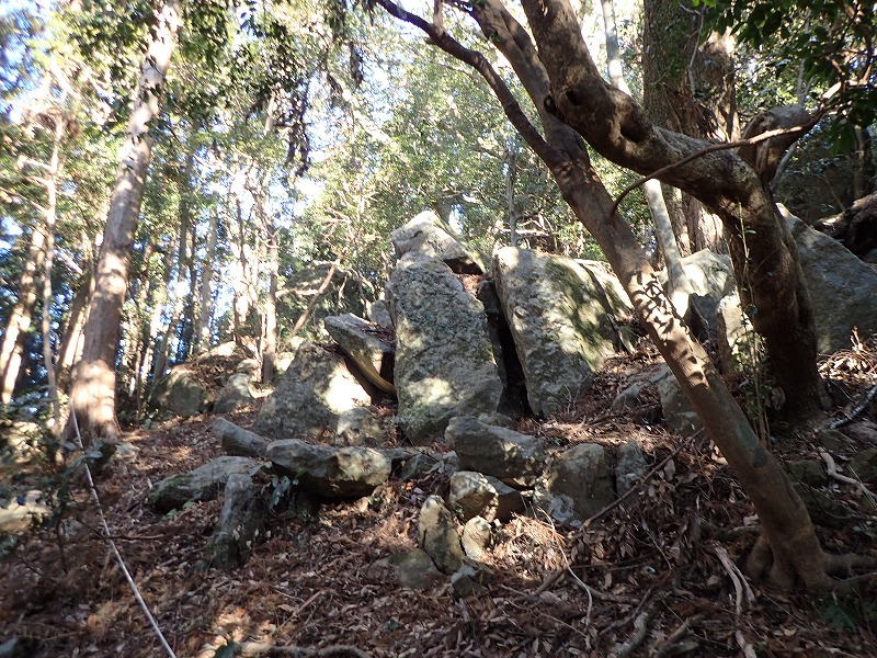 e0284726_7344757.jpg