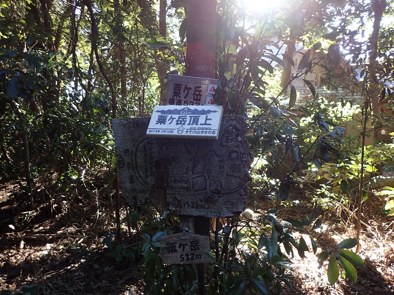 e0284726_739173.jpg