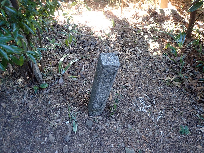 e0284726_739285.jpg