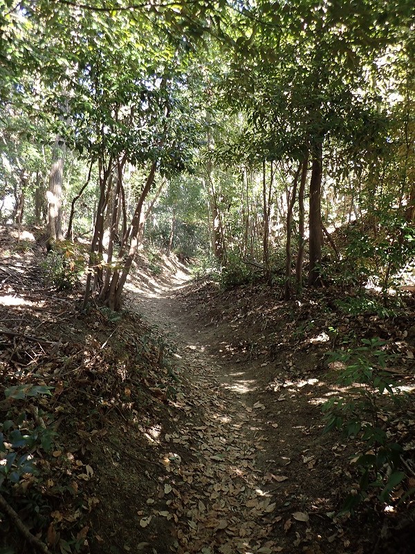 e0284726_755492.jpg