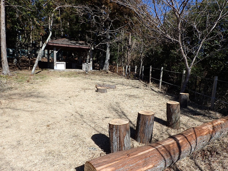 e0284726_802129.jpg