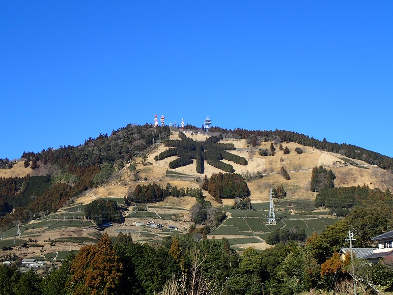 e0284726_8183983.jpg