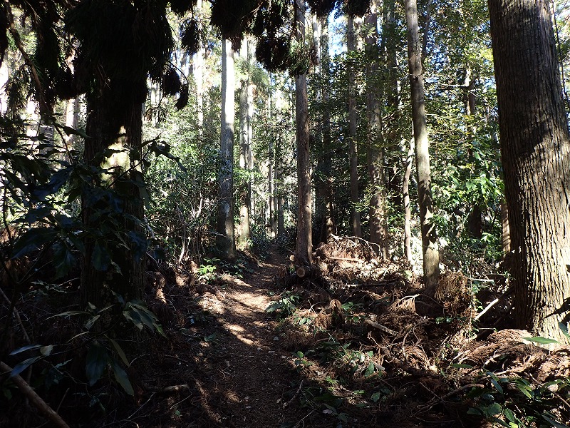 e0284726_831453.jpg