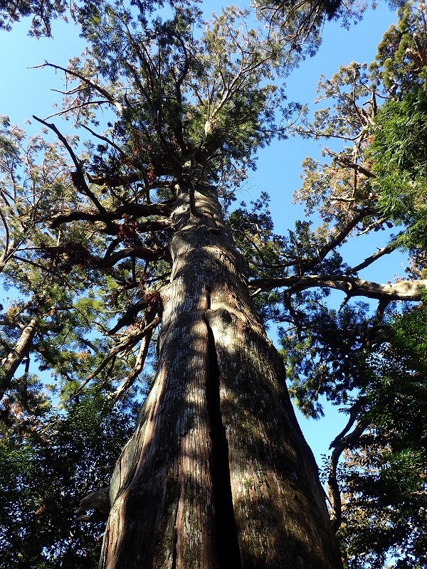 e0284726_83322.jpg