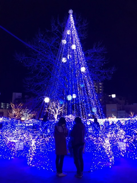 イルミネーション2019初冬_d0052327_10360994.jpeg