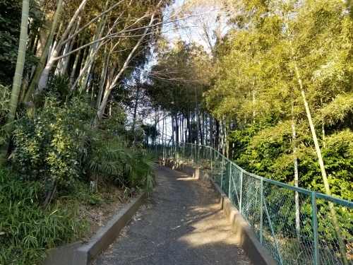 e0016828_10533750.jpg