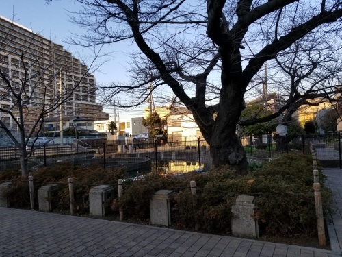 e0016828_12214450.jpg