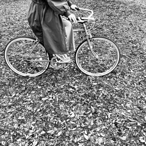 alohaloco アロハロコ LAHAINA MOANA ラハイナ モアナ 26インチ クロスバイク 自転車女子 自転車ガール おしゃれ自転車_b0212032_19094263.jpeg
