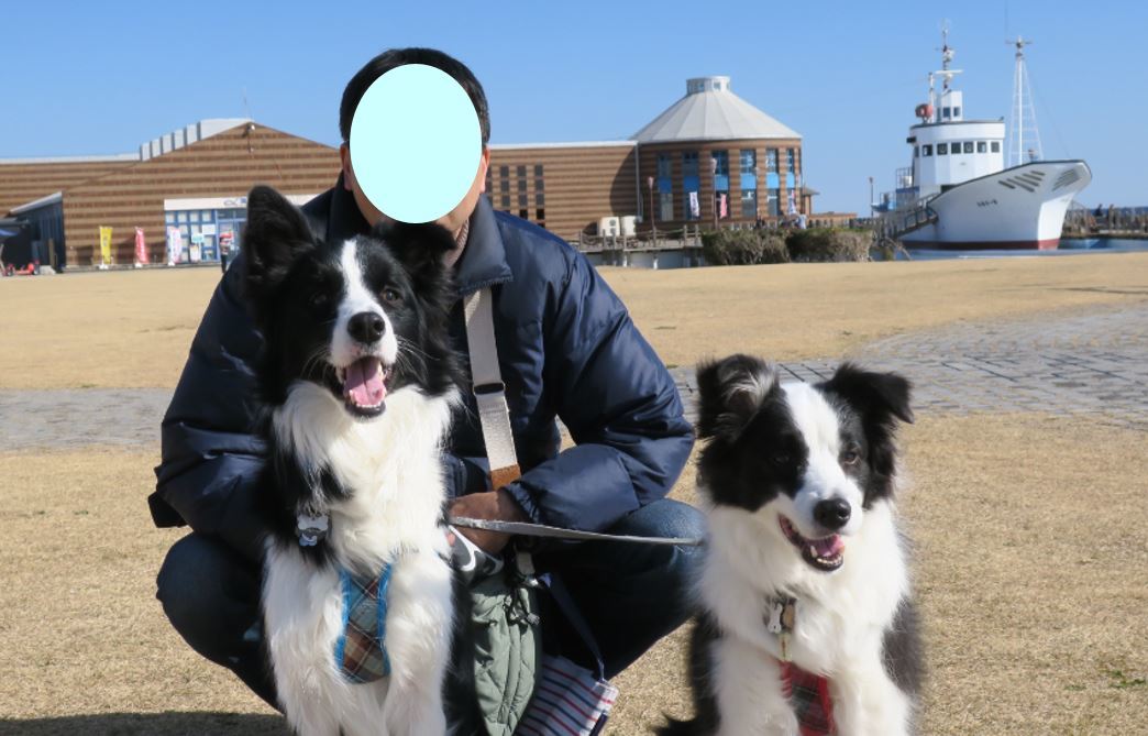 c0147241_13455399.jpg