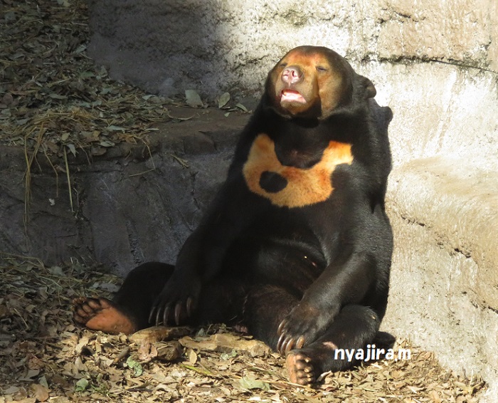 遡り元旦の写真_f0002743_23263346.jpg