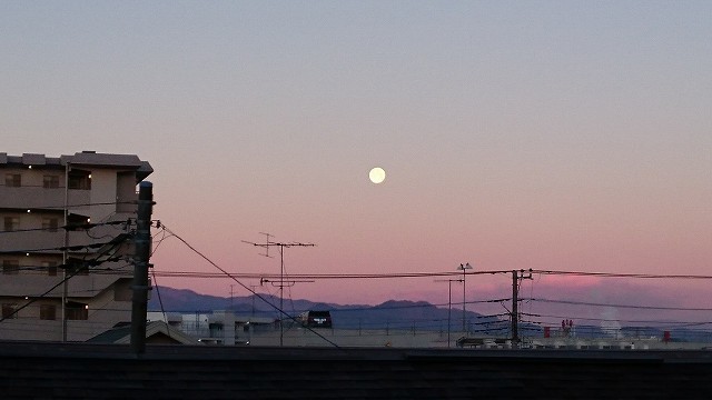 c0160751_11475166.jpg