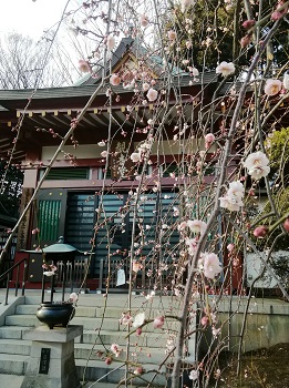 節分_a0061057_2323766.jpg
