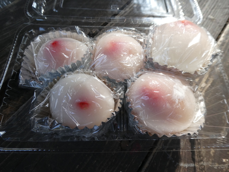 木の伐採は楽しい・・・うみべの森_c0108460_16414005.jpg