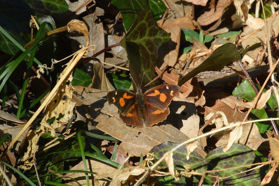 d0387460_22380915.jpg