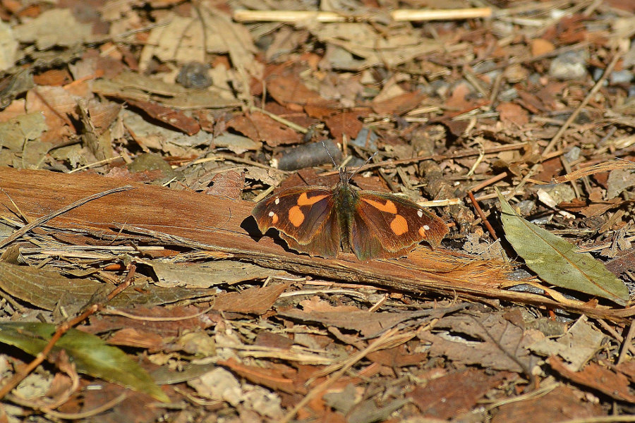 d0387460_22382378.jpg