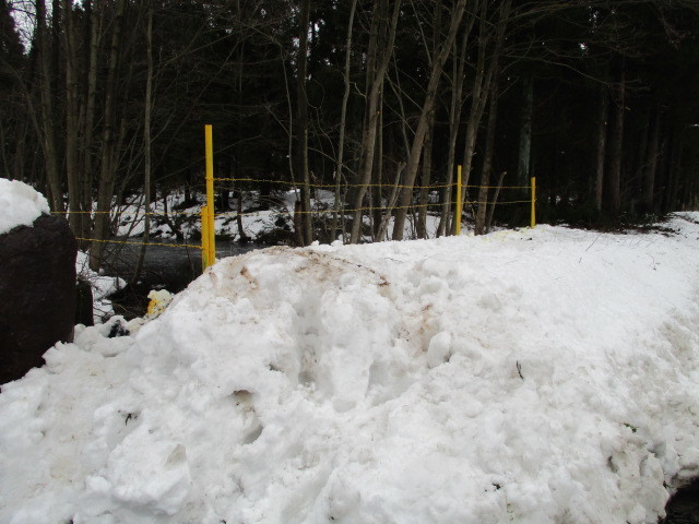 c0080863_17012355.jpg