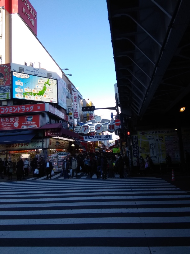 c0057776_852977.jpg