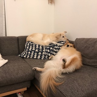 d0183577_15073242.jpeg