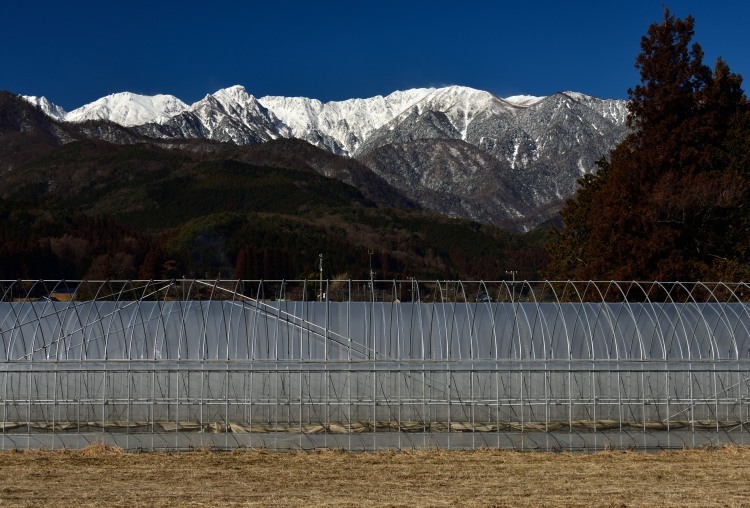 雪景の中央アルプス_d0341880_21282926.jpg