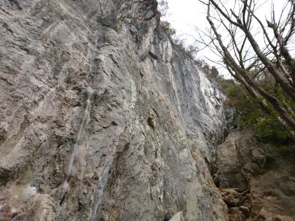 c0018489_16074548.jpg