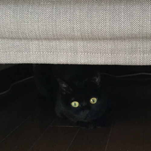 あなどっていました・・・_e0358096_07112003.jpeg