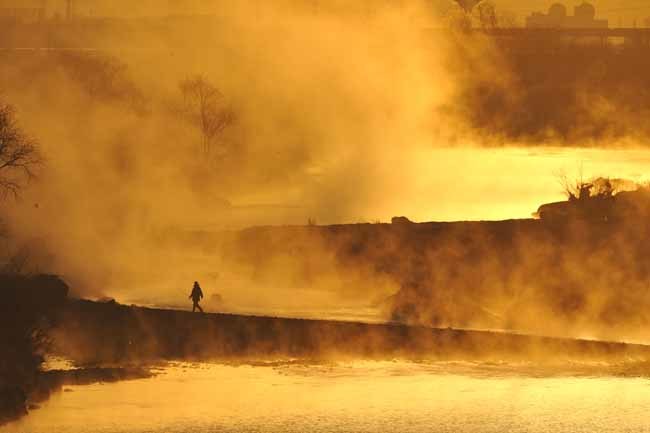 多摩川の川霧と釣り人_f0173596_13401931.jpg