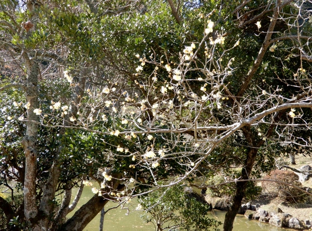 e0025300_20331233.jpg