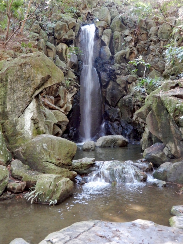 e0025300_20374795.jpg