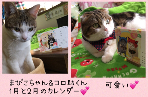 雨凛ちゃん トルコキキョウ_f0375804_08095935.jpg