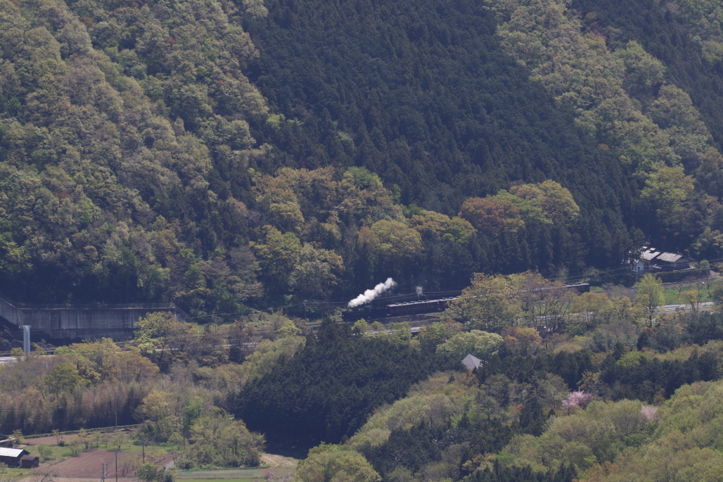新緑に小さな白煙 - 2017年・秩父 -_b0190710_22305092.jpg